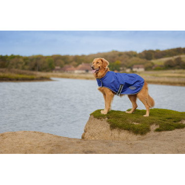 Weatherbeeta ComFiTec Hundedecke Weatherbeeta ComFiTec Hundedecke