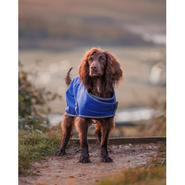 Weatherbeeta ComFiTec Hundedecke Weatherbeeta ComFiTec Hundedecke
