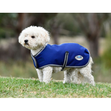 Hundedecke Weatherbeeta ComFiTec Premier Free Hundedecke Weatherbeeta ComFiTec Premier Free