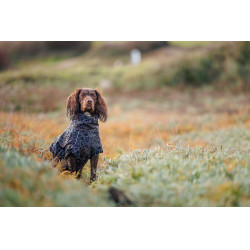 Hundedecke Weatherbeeta ComFitec reflektierend
