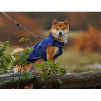 Hundedecke Weatherbeeta Deluxe ComFiTec Dunkelblau / Grau / Weiß Hundedecke Weatherbeeta Deluxe ComFiTec Dunkelblau / Grau / Weiß