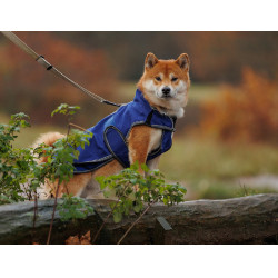 Hundedecke Weatherbeeta Deluxe ComFiTec Dunkelblau / Grau / Weiß