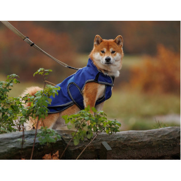 Hundedecke Weatherbeeta Deluxe ComFiTec Hundedecke Weatherbeeta Deluxe ComFiTec