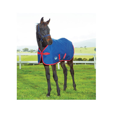 Fohlen-Decke 220g Weatherbeeta 1200D Fohlen-Decke 220g Weatherbeeta 1200D