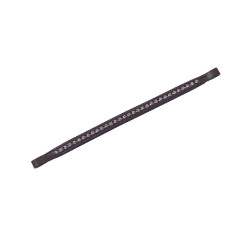 Frontal Collegiate Diamant