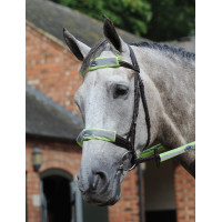 4-teiliges reflektierendes Set für Trensenzaum Weatherbeeta Gelb