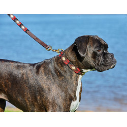 Weatherbeeta Leder-Hundehalsband Polo Weatherbeeta Leder-Hundehalsband Polo