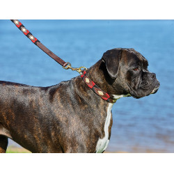 Weatherbeeta Leder-Hundehalsband Polo Weatherbeeta Leder-Hundehalsband Polo