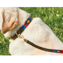 Weatherbeeta Leder-Hundehalsband Polo Braun Cowdray / Rosa / Blau / Gelb Mehrfarbig