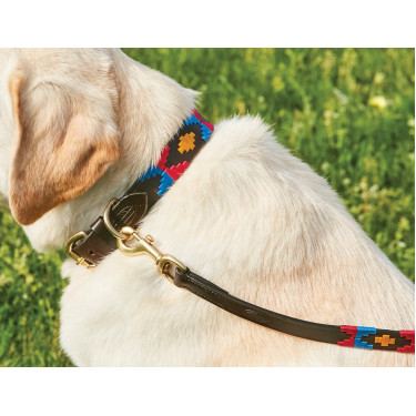 Weatherbeeta Leder-Hundehalsband Polo Braun Cowdray / Rosa / Blau / Gelb Mehrfarbig