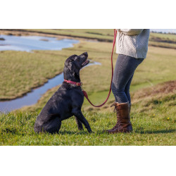 Laisse pour chien Weatherbeeta cuir rond Bordeaux