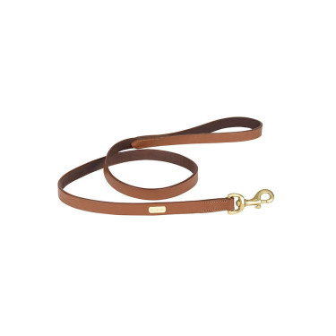 Leder-Hundeleine Weatherbeeta Hellbraun