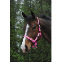 Günstiger Saxon-Halfter Pink Rosa Günstiger Saxon-Halfter Pink Rosa