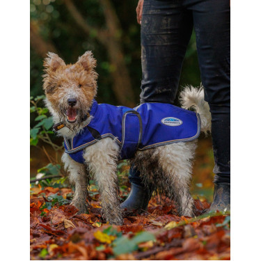 Hundedecke 220g Weatherbeeta ComFiTec Deluxe Hundedecke 220g Weatherbeeta ComFiTec Deluxe