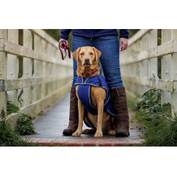 Hundedecke 220g Weatherbeeta ComFiTec Deluxe Dunkelblau / Grau / Weiß Hundedecke 220g Weatherbeeta ComFiTec Deluxe Dunkelblau / Grau / Weiß