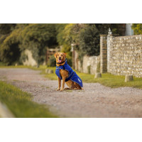 Hundedecke 220g Weatherbeeta ComFiTec Deluxe Dunkelblau / Grau / Weiß Hundedecke 220g Weatherbeeta ComFiTec Deluxe Dunkelblau / Grau / Weiß