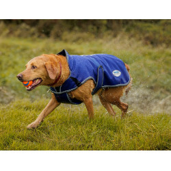 Hundedecke 220g Weatherbeeta ComFiTec Deluxe Dunkelblau / Grau / Weiß Hundedecke 220g Weatherbeeta ComFiTec Deluxe Dunkelblau / Grau / Weiß