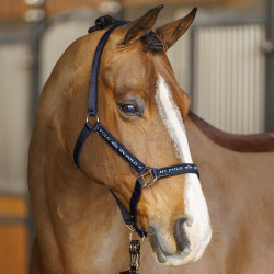 Halfter HV Polo Nena Halfter HV Polo Nena