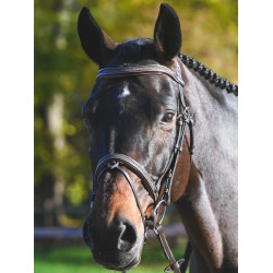 Trense Carat Jump'In One Premium Havanna Braun
