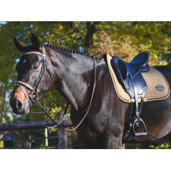 Trense Carat Jump'In One Premium Havanna Braun