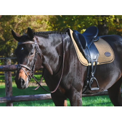 Trense Carat Jump'In One Premium Havanna Braun