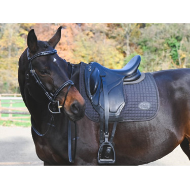 Trense Carat Jump'In One Premium Schwarz Trense Carat Jump'In One Premium Schwarz