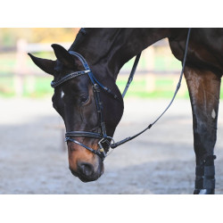 Trense Carat Jump'In One Premium Schwarz