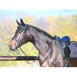 Trense Carat Jump'In One Premium Schwarz