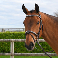 Bridon Clincher Jump'In One Premium Havanna Braun