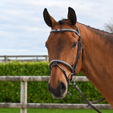 Bridon Clincher Jump'In One Premium Havanna Braun