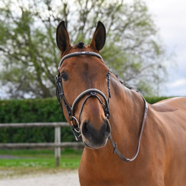 Bridon Clincher Jump'In One Premium Havanna Braun