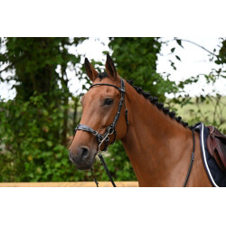 Trense Hackamore Jump'In Woche Schwarz