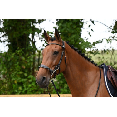 Trense Hackamore Jump'In Woche Schwarz Trense Hackamore Jump'In Woche Schwarz