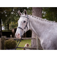 Trense Hackamore Jump'In Woche Schwarz Trense Hackamore Jump'In Woche Schwarz