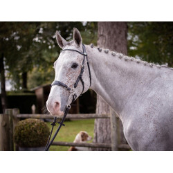 Trense Hackamore Jump'In Woche Schwarz Trense Hackamore Jump'In Woche Schwarz