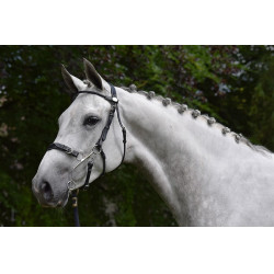 Trense Hackamore Jump'In Woche Schwarz Trense Hackamore Jump'In Woche Schwarz