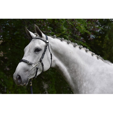 Trense Hackamore Jump'In Woche Schwarz Trense Hackamore Jump'In Woche Schwarz