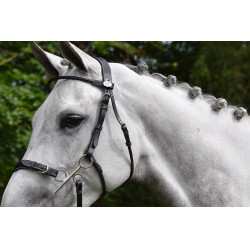 Trense Hackamore Jump'In Woche Schwarz Trense Hackamore Jump'In Woche Schwarz