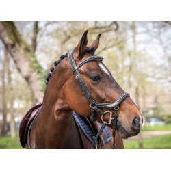 Bridon Jump'In Summer anatomisches Reithalfter Week Schwarz