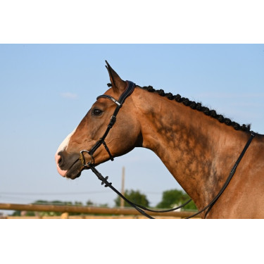Trense Liberty Jump'In One Schwarz