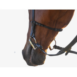 Trense Liberty Jump'In One Schwarz