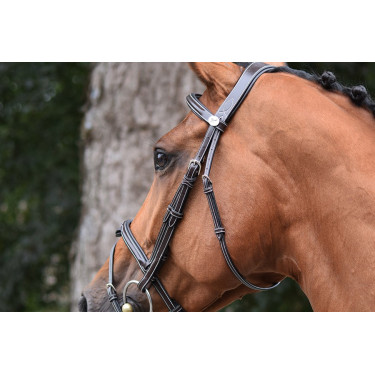 Bridon Thursday kombinierter Nasenriemen Jump'In week Schwarz Bridon Thursday kombinierter Nasenriemen Jump'In week Schwarz
