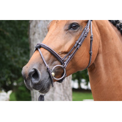 Bridon Thursday muserolle combinée Jump'In week