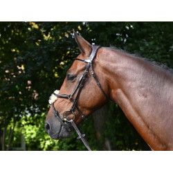 Bridon Wednesday kombiniert mit Kreuznasenriemen Jump'In Week