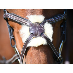 Bridon Wednesday kombiniert mit Kreuznasenriemen Jump'In Week Havanna Braun