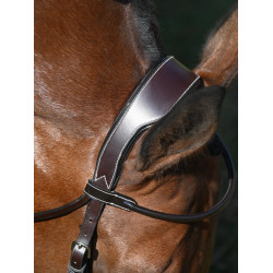 Bridon Wednesday kombiniert mit Kreuznasenriemen Jump'In Week Havanna Braun