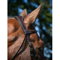 Bridon Wednesday kombiniert mit Kreuznasenriemen Jump'In Week Havanna Braun