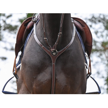 Brustblatt Clincher und Martingal Jump'In One Premium
