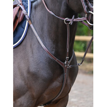 Brustblatt Clincher und Martingal Jump'In One Premium Brustblatt Clincher und Martingal Jump'In One Premium