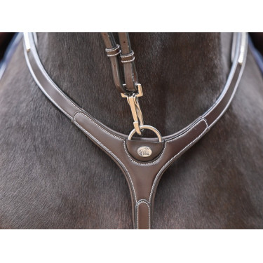 Brustblatt Clincher und Martingal Jump'In One Premium Brustblatt Clincher und Martingal Jump'In One Premium